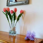 Appartement Milea *