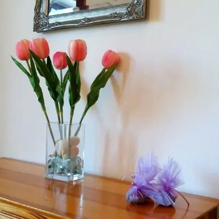 Apartamento Milea *